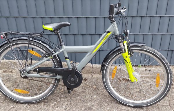 24″ Pegasus Avanti Alu
